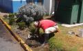 Click para ampliar...