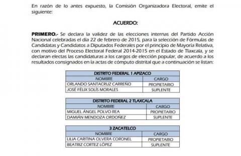 Valida COE del PAN resultados de elecciones internas imagen 2