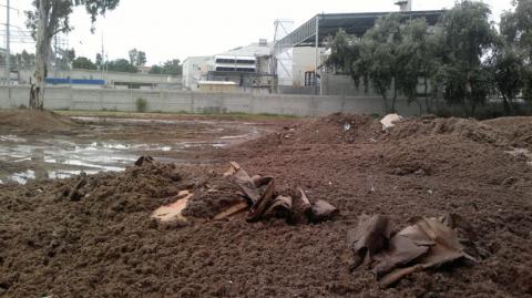P&G se despide de Tlaxcala con residuos tóxicos al aire libre imagen 2