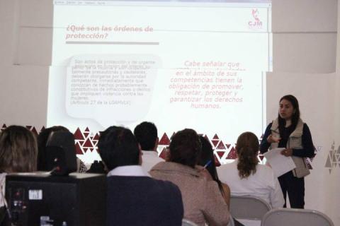Realiza el IMM de Apetatitlán acciones en protección a víctimas de violencia imagen 3