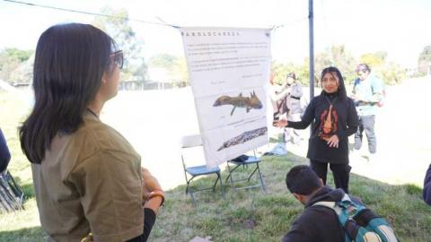 Arrancó el Festival de los humedales y 3er Festitlax de los anfibios imagen 6