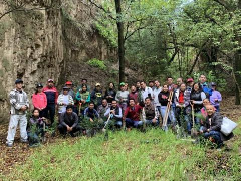 Realizan campaña de reforestación en la zona de Tlacuetla en Cuauhtelulpan imagen 2