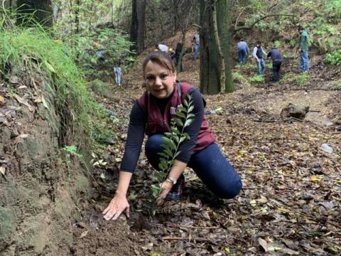 Realizan campaña de reforestación en la zona de Tlacuetla en Cuauhtelulpan imagen 1