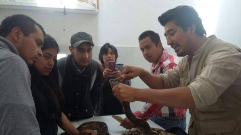 Protección de reptiles y animales exóticos una actividad de vida imagen 3