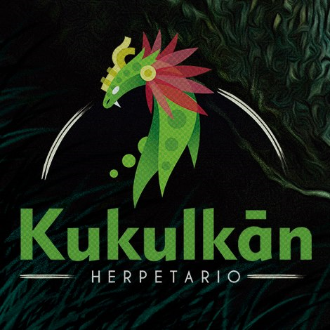 Protección de reptiles y animales exóticos una actividad de vida imagen 1