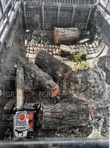 Detienen a cuatro personas con posesión de material forestal en La Malinche imagen 2