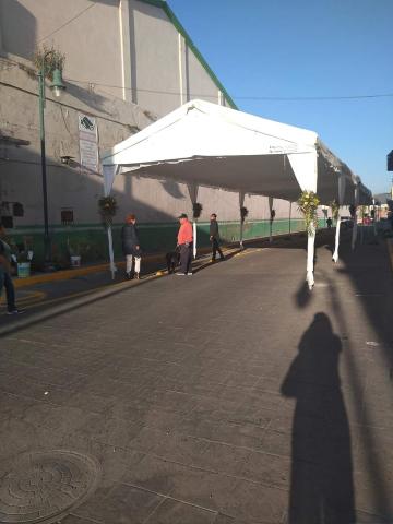 Tachan a edil de Apetatitlán de burro e inepto por cerrar calle imagen 4