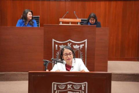 Propone diputada Gabriela Hernández reconocer el Servicio Social como experiencia profesional imagen 2
