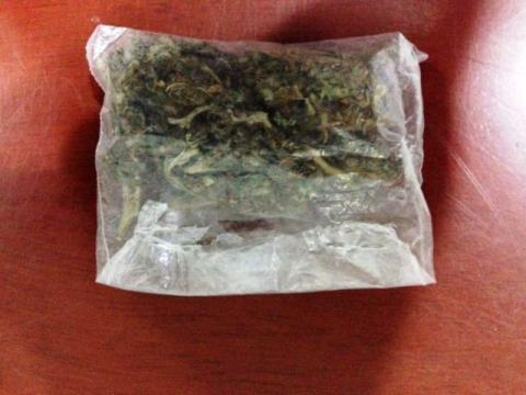 Detiene SSPE a individuo por posesión de marihuana y alterar el orden imagen 1