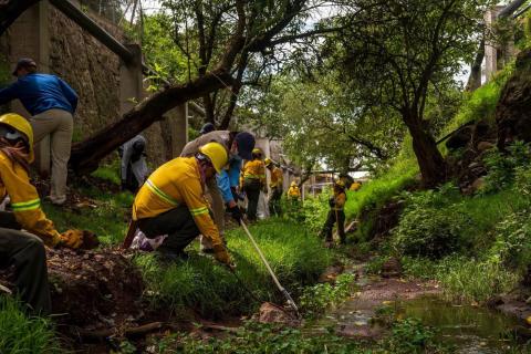 En Tlaxco seguimos construyendo un Tlaxco más limpio, consciente y comprometido con el medio ambiente imagen 1