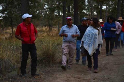 Inspeccionan centros de avistamiento de luciérnagas en Calpulalpan imagen 2