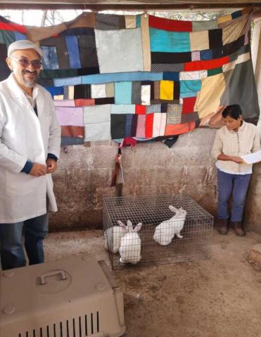 La UATx fortalece al sector pecuario de Tlaxcala con proyecto de cunicultura imagen 2