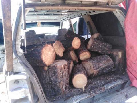 Asegura policía de Ixtenco camioneta con material forestal imagen 3