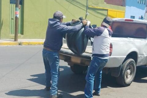 Gobierno de Huamantla interpone denuncia ante la Propaet por envenenamiento a perros en situación de calle