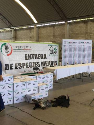 Entregan 40 paquetes de especies menores en Tequexquitla imagen 2