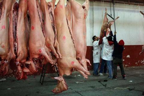 Clausuraron un rastro que vendía carne con clembuterol