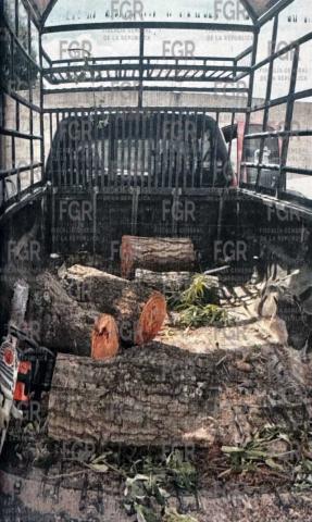 Detienen a cuatro personas con posesión de material forestal en La Malinche imagen 3