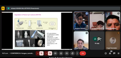 Por invitación del CICB-UATx experta de la Universidad de Granada habla sobre potencial de los hongos para reducir contaminación imagen 2