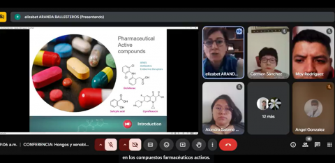 Por invitación del CICB-UATx experta de la Universidad de Granada habla sobre potencial de los hongos para reducir contaminación imagen 3