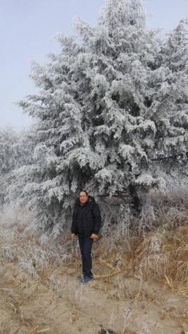 Nieve cubre árboles y matorrales de la zona oriente del estado imagen 1