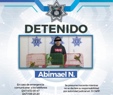 Detiene policía de Huamantla a presunto traficante de aves exóticas
