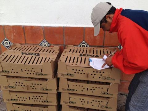 Suman más de 250 familias beneficiadas en Totolac, con paquetes de especies menores imagen 1