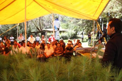 Entrega Orlando Santacruz 20 mil Árboles a municipios de Tlaxcala imagen 1