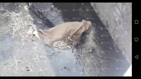 Miembro del escuadrón de la muerte pierde la vida al caer al río imagen 5