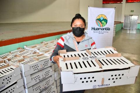 El campo y el desarrollo rural son prioridad para el gobierno municipal de Huamantla imagen 1