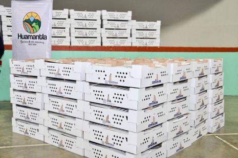 El campo y el desarrollo rural son prioridad para el gobierno municipal de Huamantla imagen 4