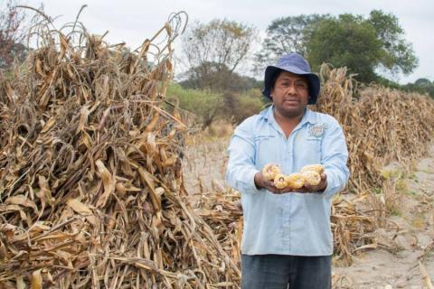 El campo y el desarrollo rural son prioridad para el gobierno municipal de Huamantla imagen 8