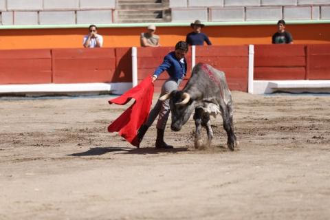 Gobierno impulsa participación internacional de jóvenes toreros