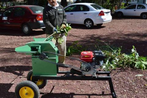 Reciclarán en Tlaxcala árboles naturales navideños imagen 1