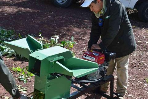 Reciclarán en Tlaxcala árboles naturales navideños imagen 3