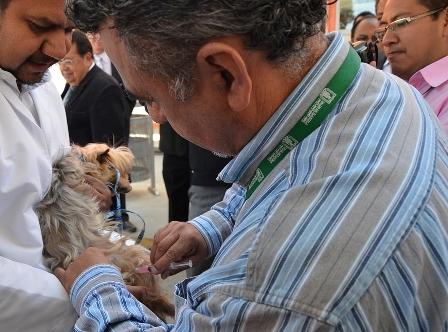 Niegan que exista desabasto de vacunas antirrábica humana