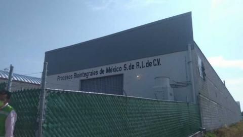 Inspeccionan a fábrica dedicada a la harina de pescado en Papalotla imagen 3