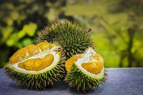 La fruta más apestosa del mundo, obliga a desalojar oficina de correos