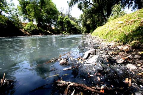 Graves daños a la salud por contaminación del río Zahuapan-Atoyac imagen 9