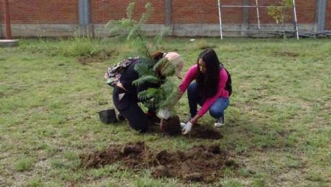 Emprende Xicohtzinco Campaña de reforestación "Adopta un árbol"