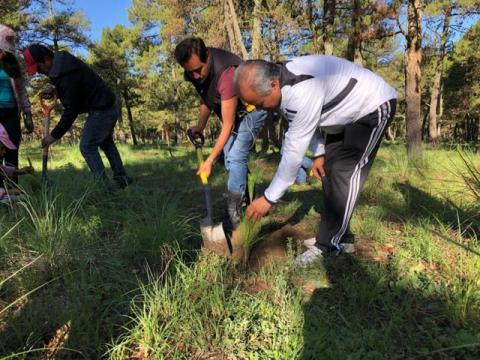 Con la suma de esfuerzos podemos proteger los bosques: alcalde imagen 3