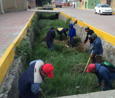 Ayuntamiento realizó jornada de limpieza y reforestación imagen 2