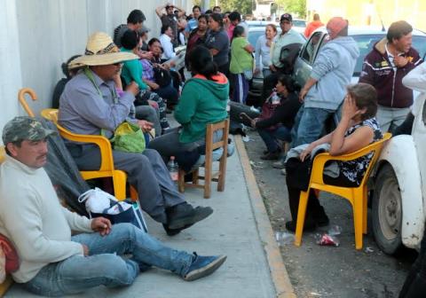 Cientos esperan hasta tres días para obtener su CANP imagen 1