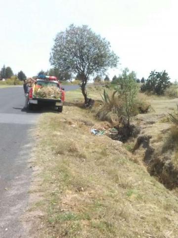 PC Hueyotlipan previene inundaciones desazolvando cunetas y zanjas imagen 4