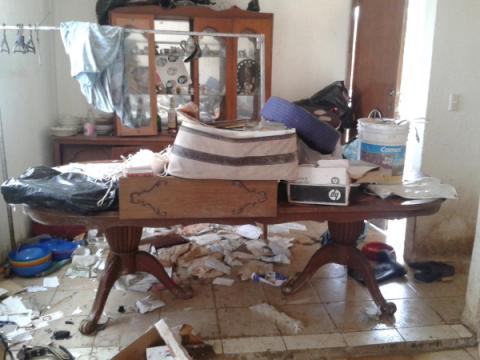 Clausura definitiva laCoepris albergue para perros imagen 1