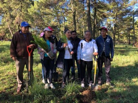 Con la suma de esfuerzos podemos proteger los bosques: alcalde imagen 1