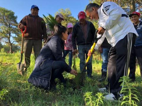 Con la suma de esfuerzos podemos proteger los bosques: alcalde imagen 4