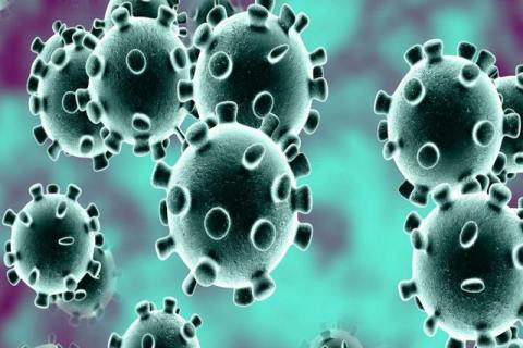 Reportan 1er caso de coronavirus en México de un profesor