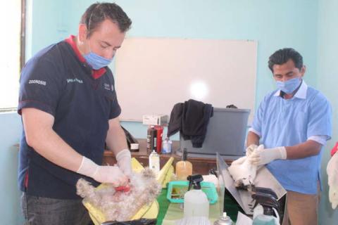 Gobierno Municipal de Tepetitla se suma a la campaña estatal de esterilización canina y felina imagen 1