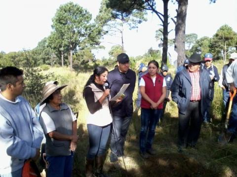 Implementa municipio de Tocatlán acciones a favor de la ecología imagen 2