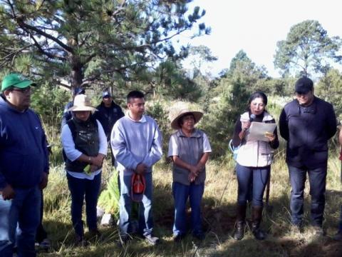 Implementa municipio de Tocatlán acciones a favor de la ecología imagen 3